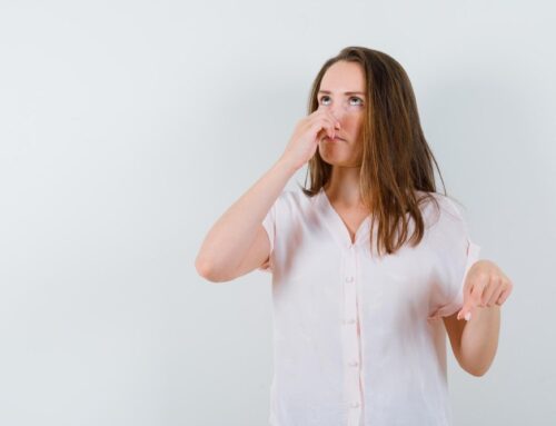 How to Get Rid of the Bad Smell in Your House How to Get Rid of the Bad Smell in Your House